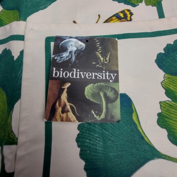 American Museum of Natural History Vintage Butterfly Placemats (4) - Picture 4 of 7